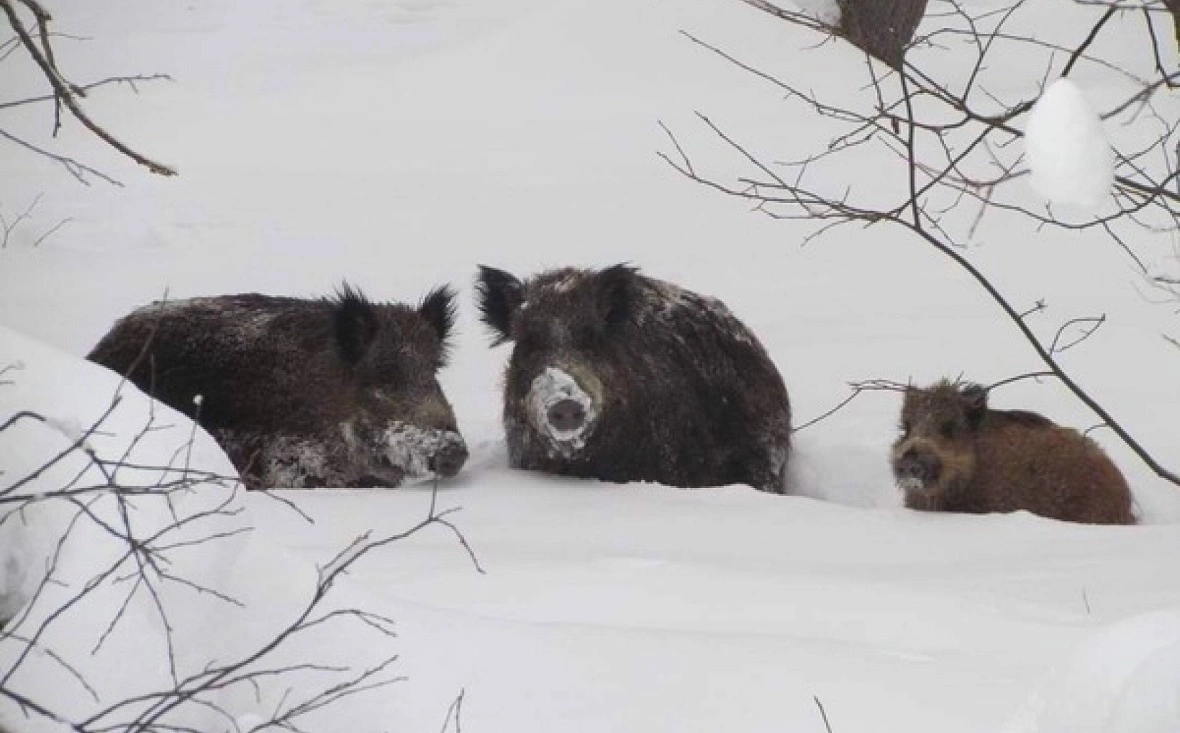 Национальный парк "Башкирия"
