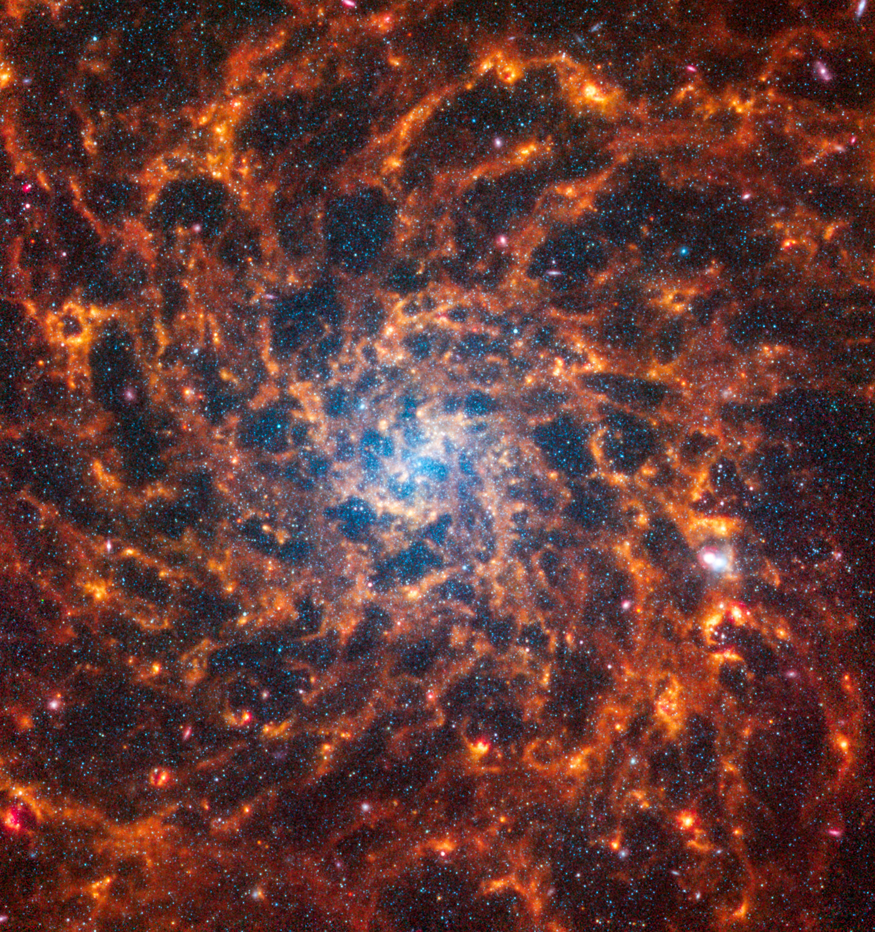 Спиральная галактика IC 5332 в созвездии Скульптор