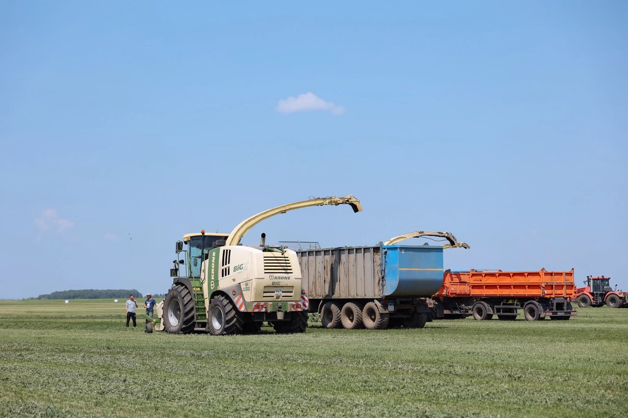 Правительство Амурской области