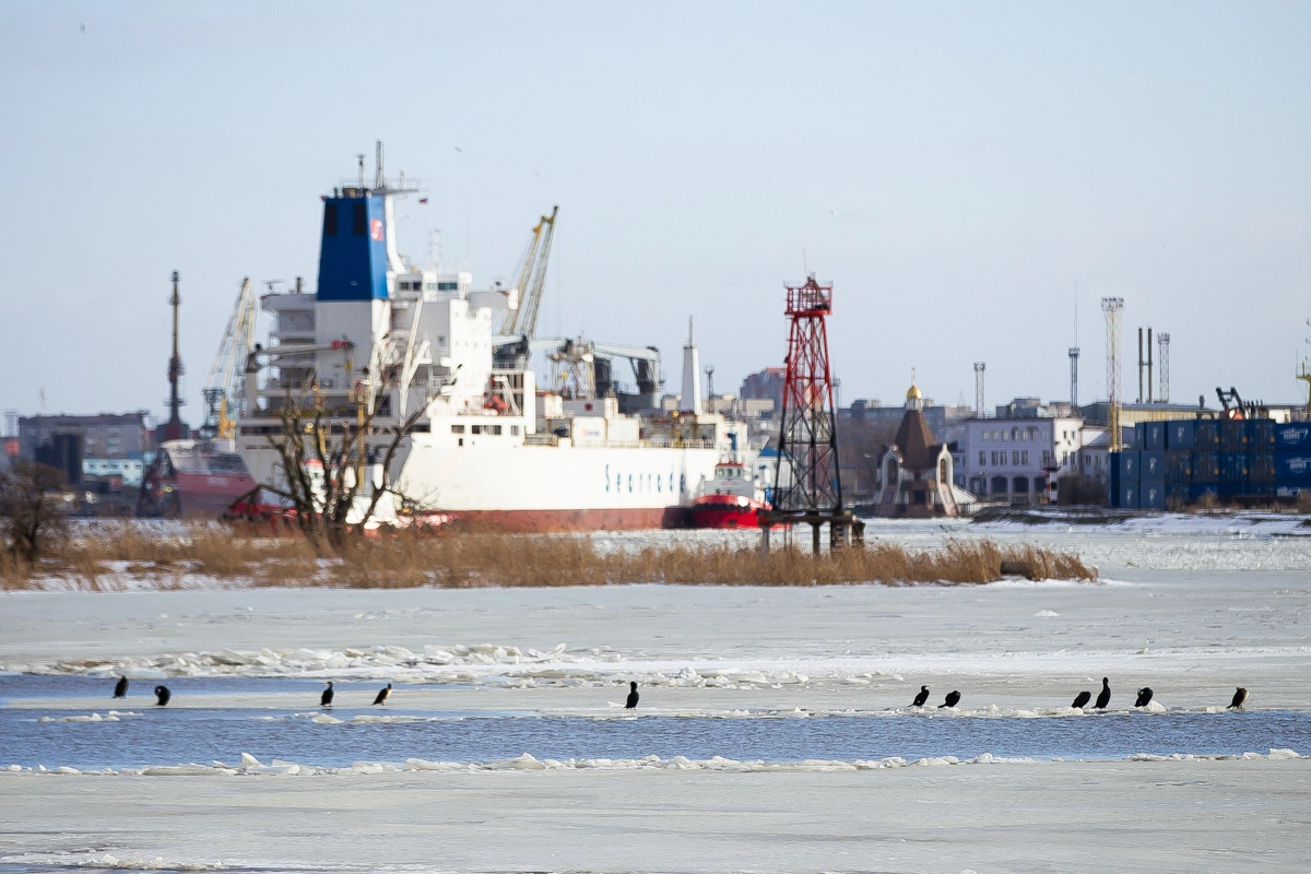 Александр Подгорчук