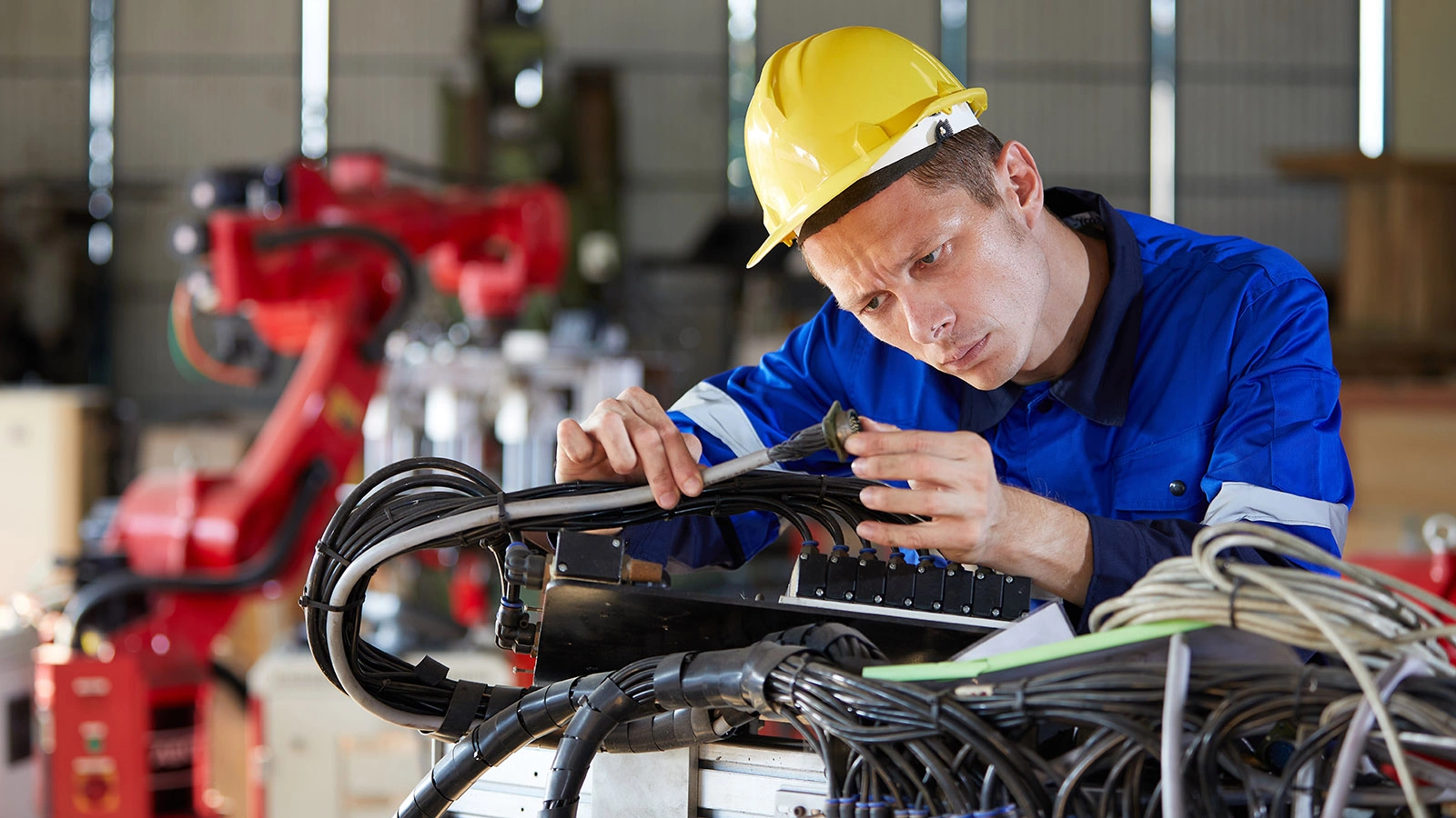 Названы самые высокооплачиваемые сферы по итогам октября 2025 года