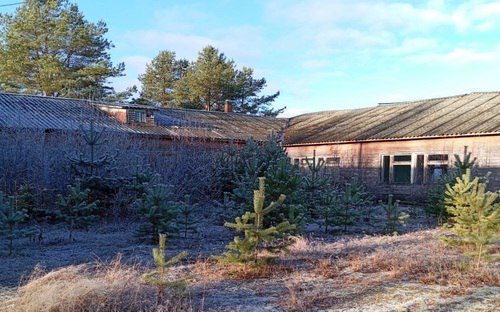 Фото: torgi.gov.ru