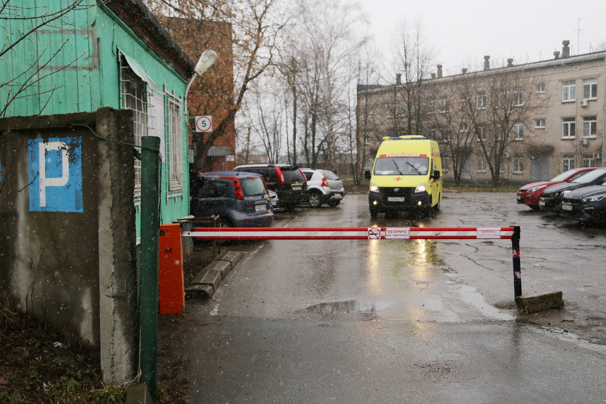 Фото:  Анастасия Макарычева/РБК