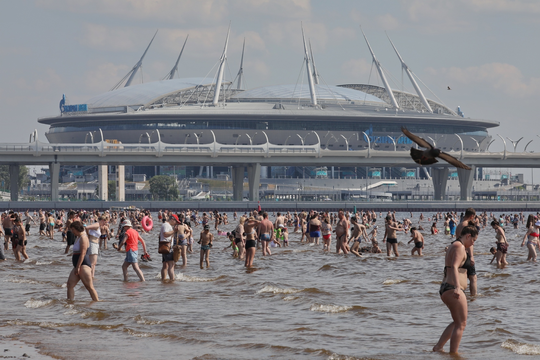 Фото: Холявчук Светлана/PhotoXPress.ru