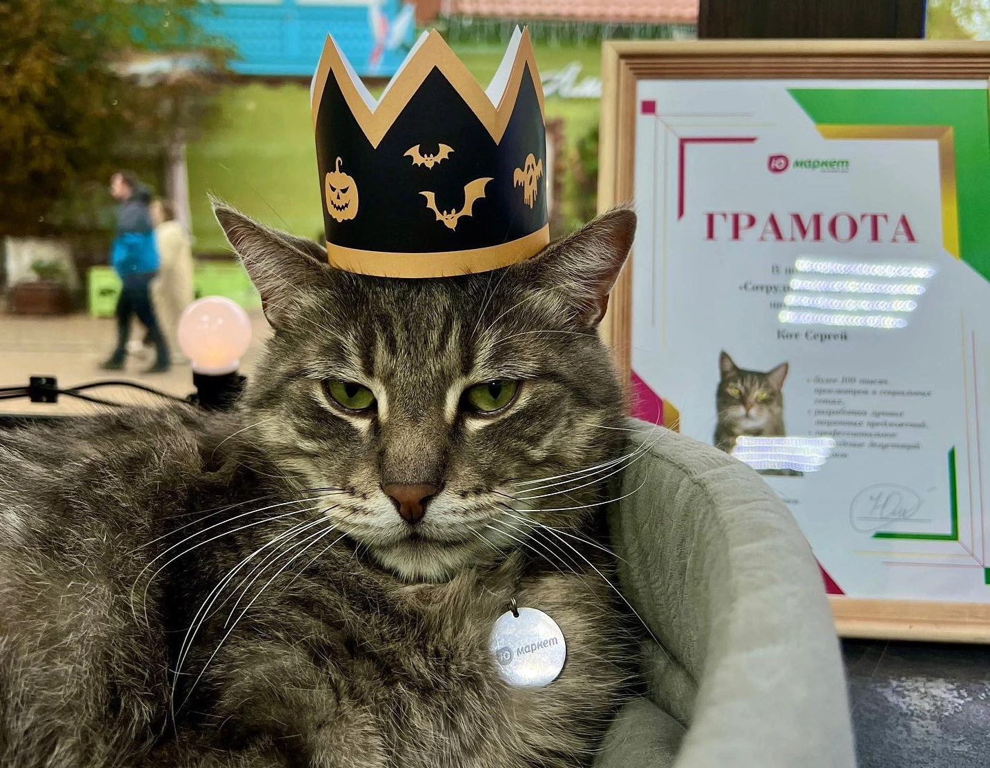 Соцсети «ЮМаркет»