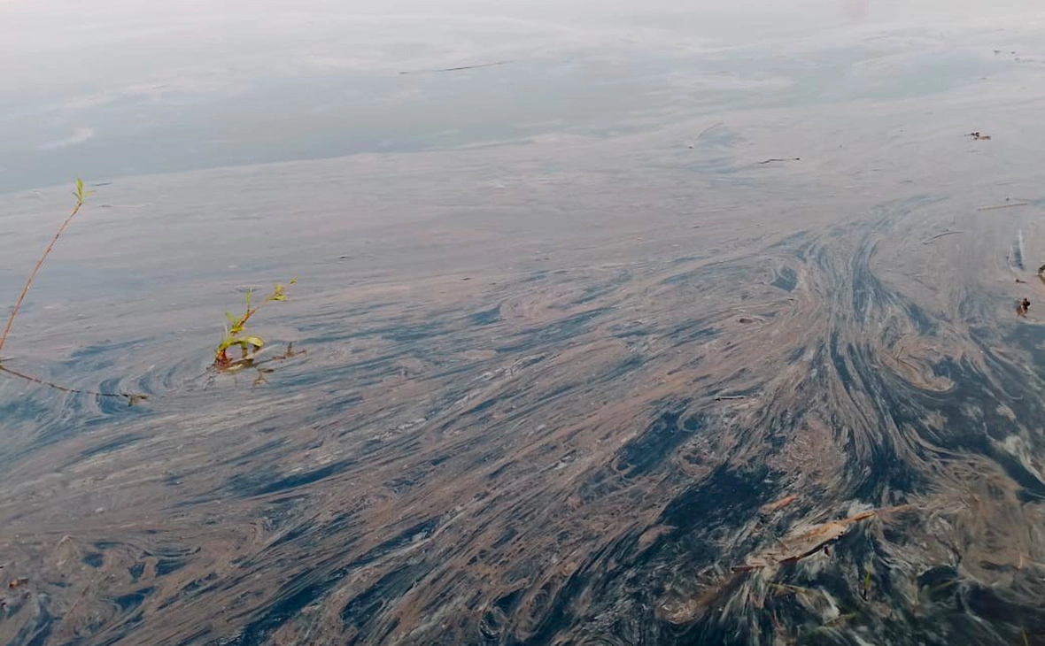 glavakazach / Telegram