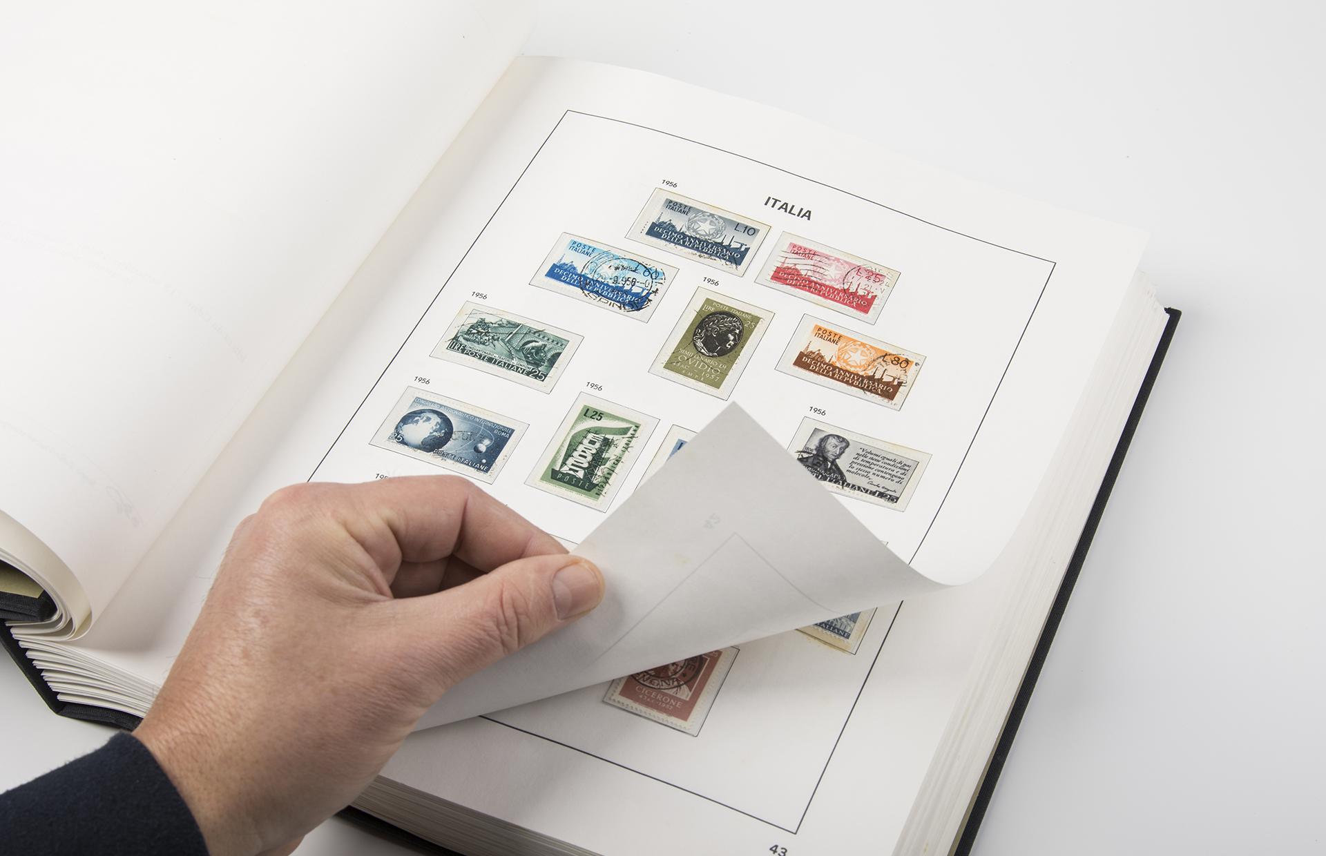 Фото: Sergio Delle Vedove / Shutterstock / Fotodom