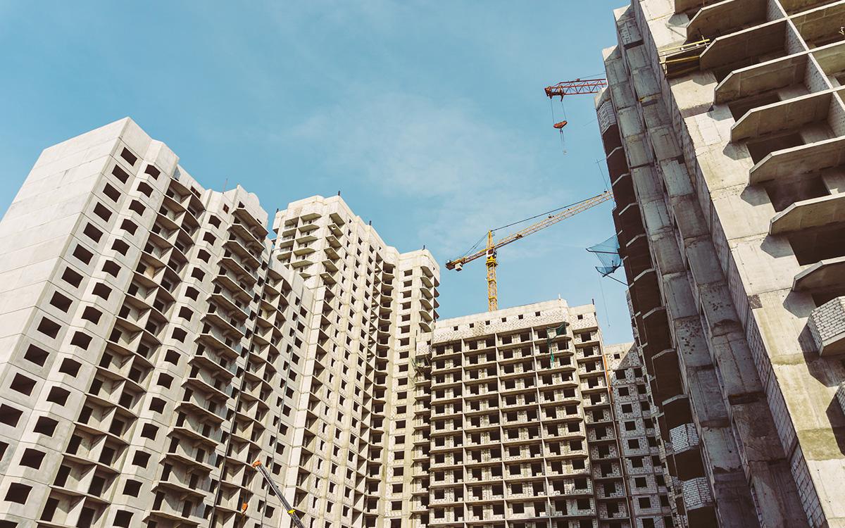 Фото: DedMityay / Shutterstock / FOTODOM