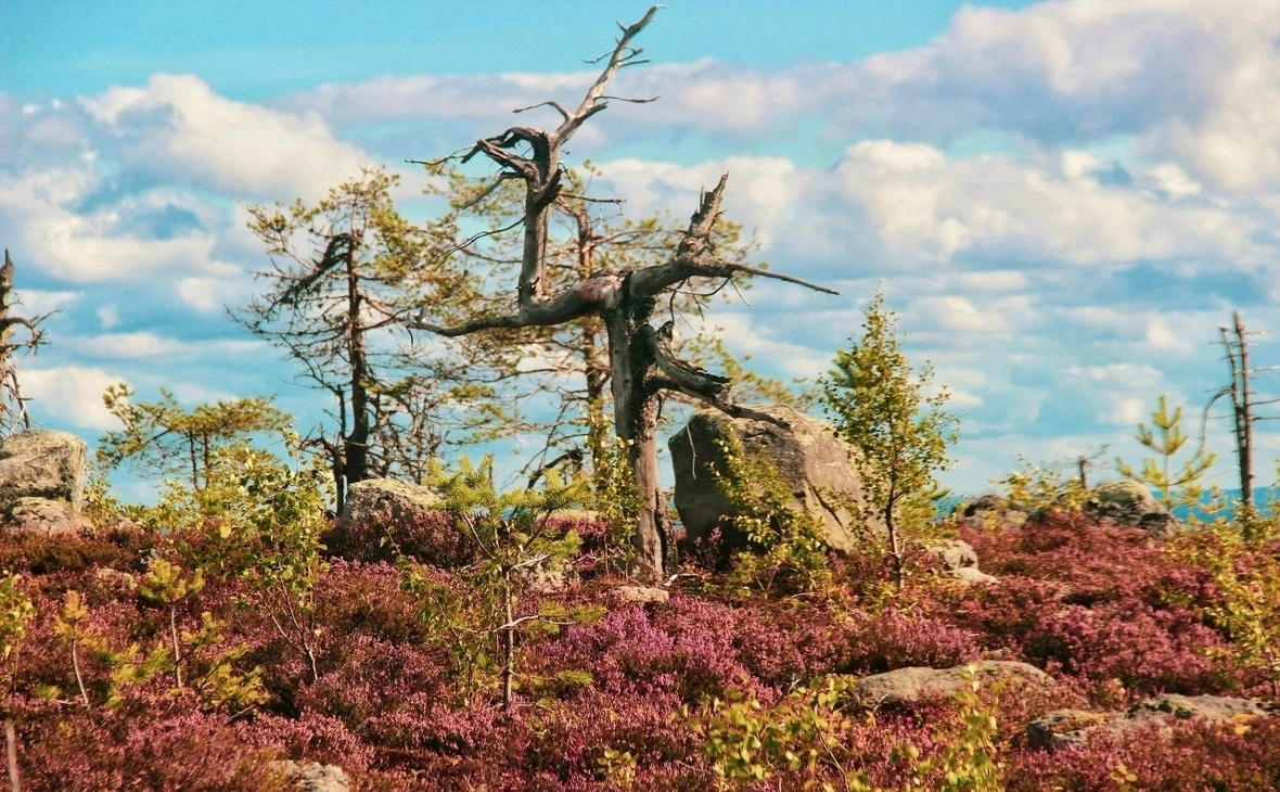 Национальный парк «Воттоваара» /vk.com