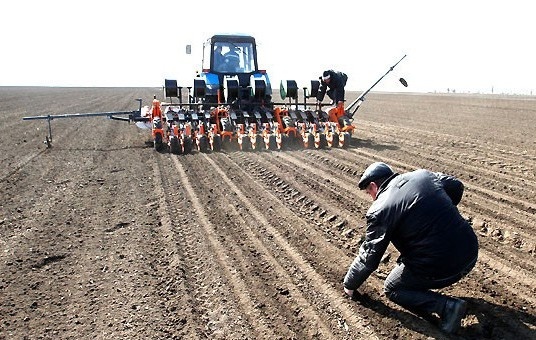 В Башкирии будут больше выращивать полбы и нута
