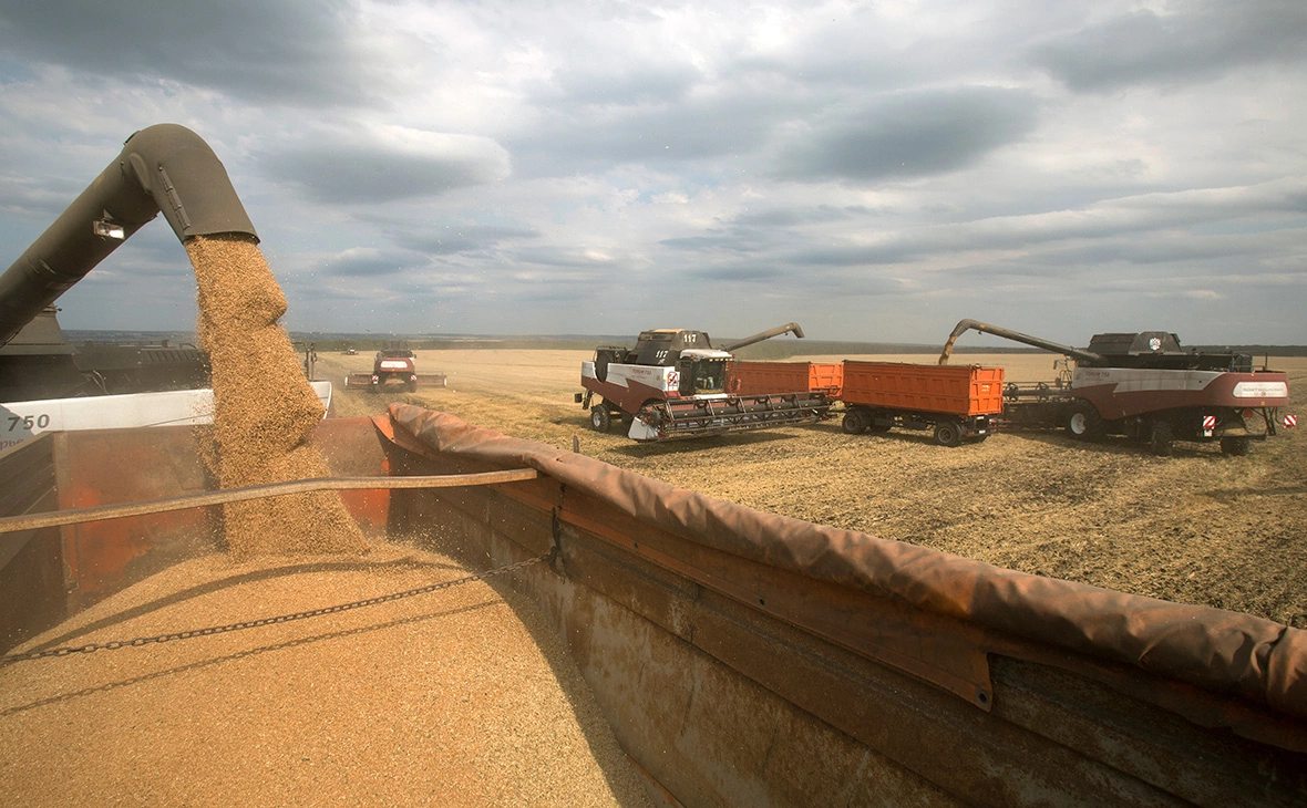 Николай Гынгазов / ТАСС