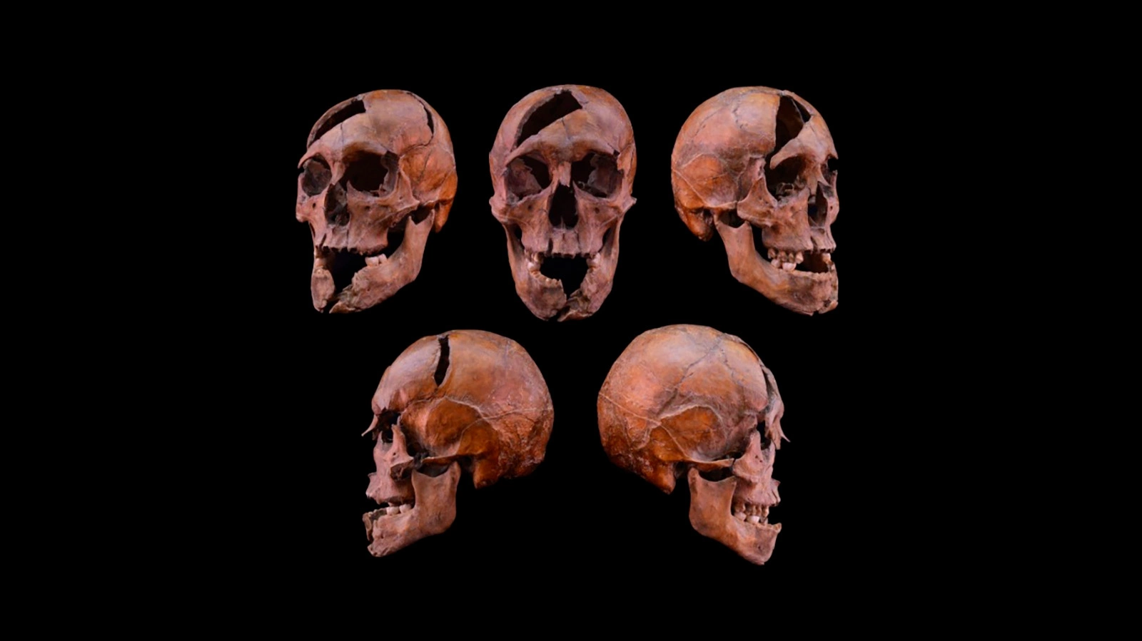 Мүше не істейді?