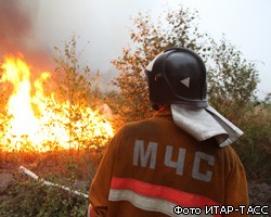 Площадь природных пожаров в России сократилась