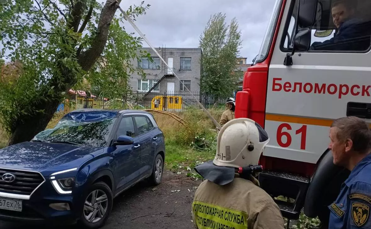 Правительство РК / телеграм