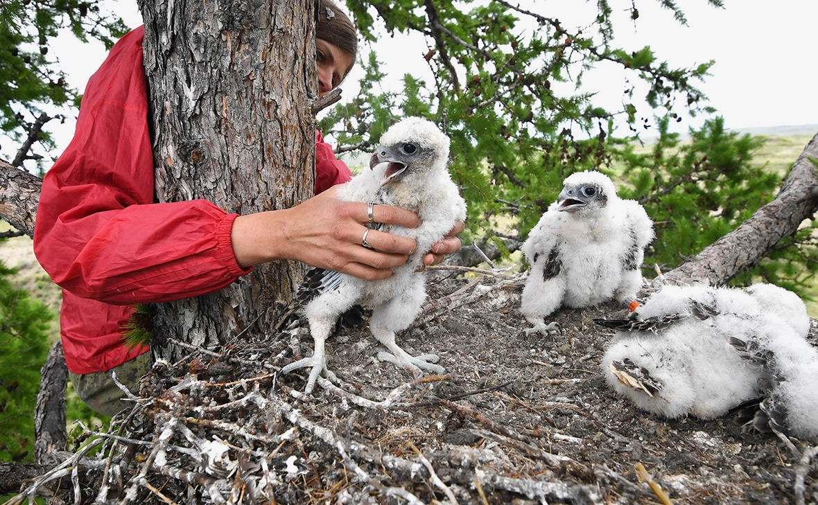 Александр Кряжев / РИА Новости