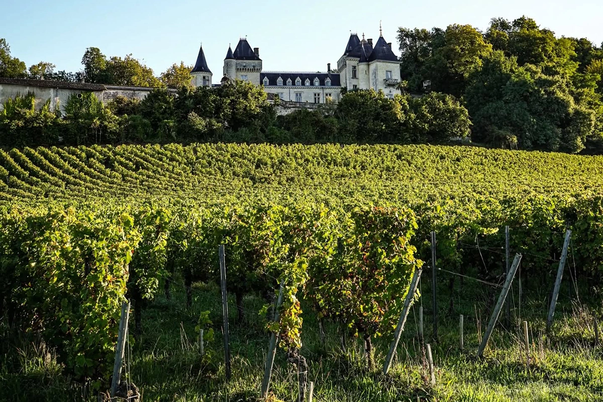 Шато де Ла Ривьер, винодельческое поместье в Бордо, перешло во владение люксембургской инвестиционной группы Global Food Investments