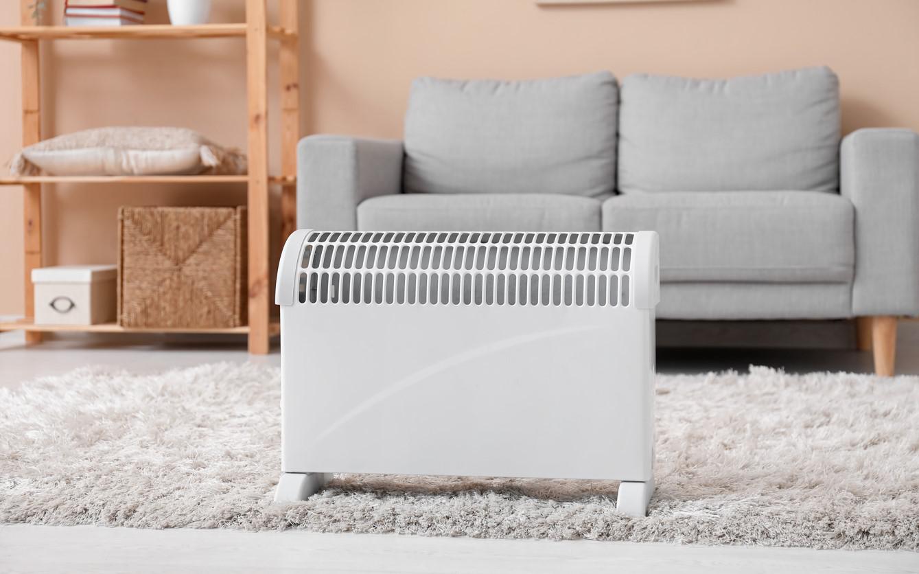 Фото: Pixel-Shot / Shutterstock / FOTODOM