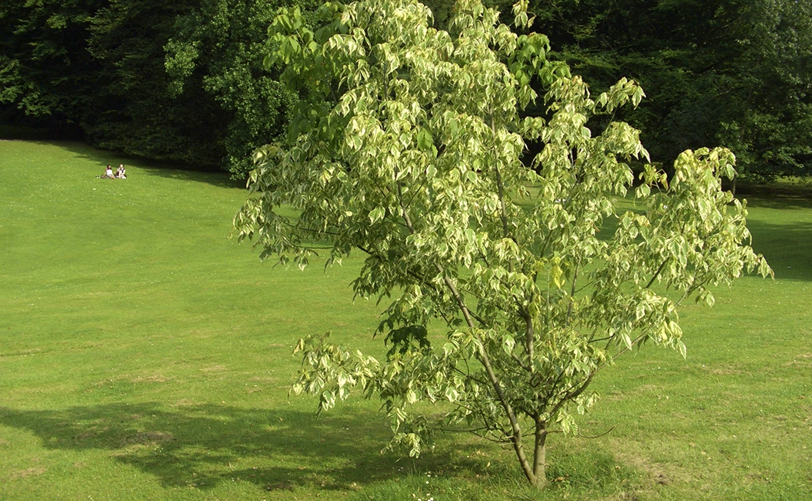 A. Jagel / blickwinkel / Global Look Press