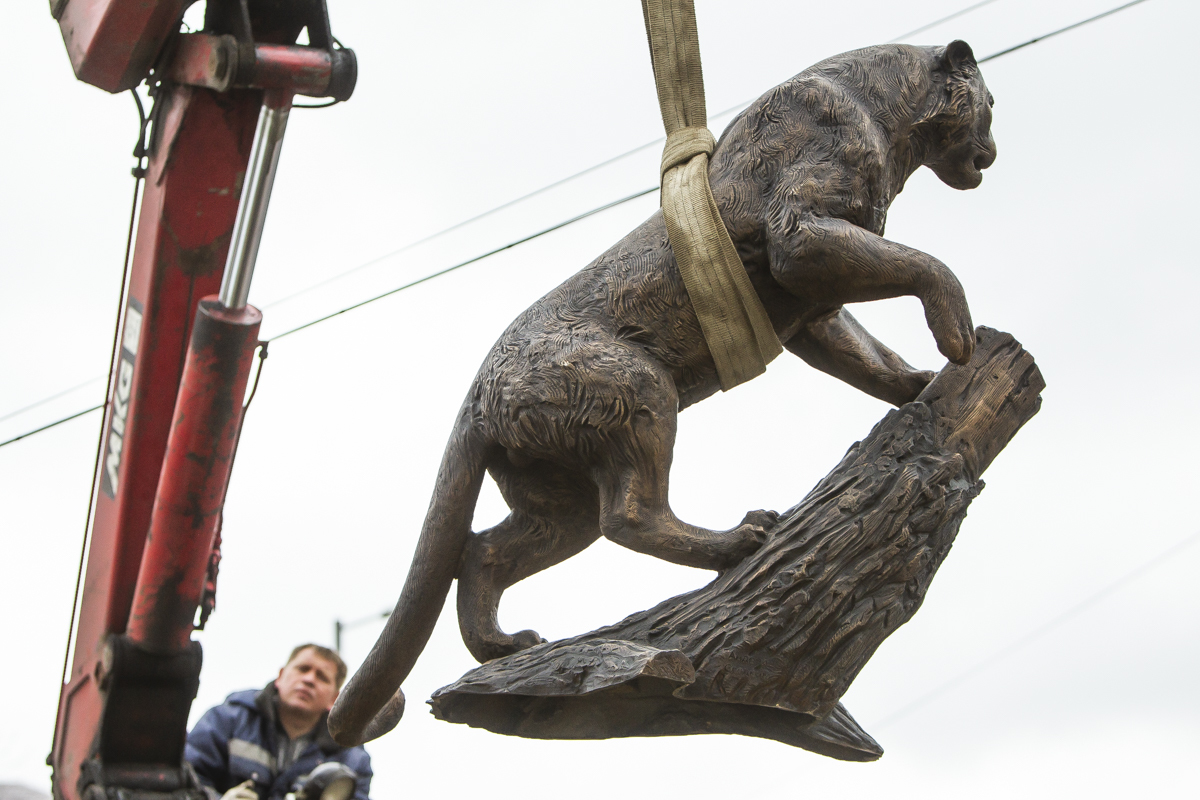 В Калининградском зоопарке установили новые скульптуры зверей за ₽15 млн
