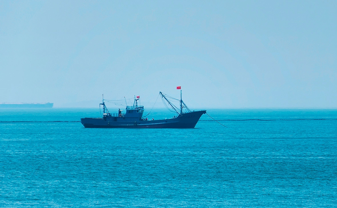 Dan Hanscom / Shutterstock