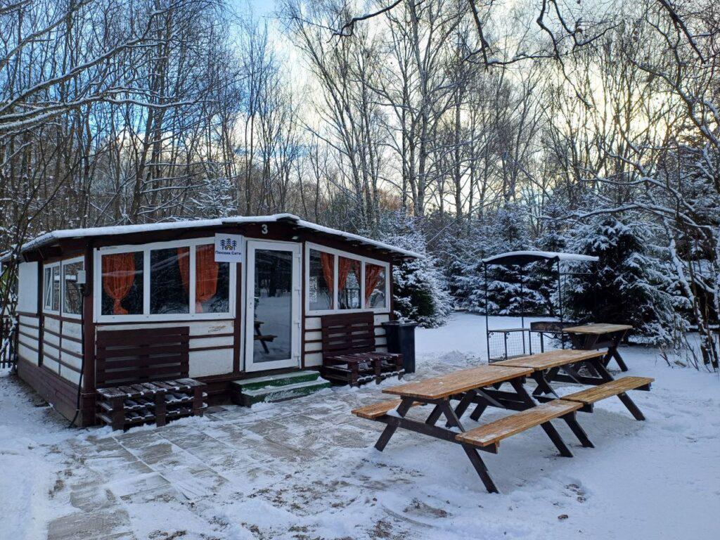 Беседка для отдыха в Бирюлевском дендропарке