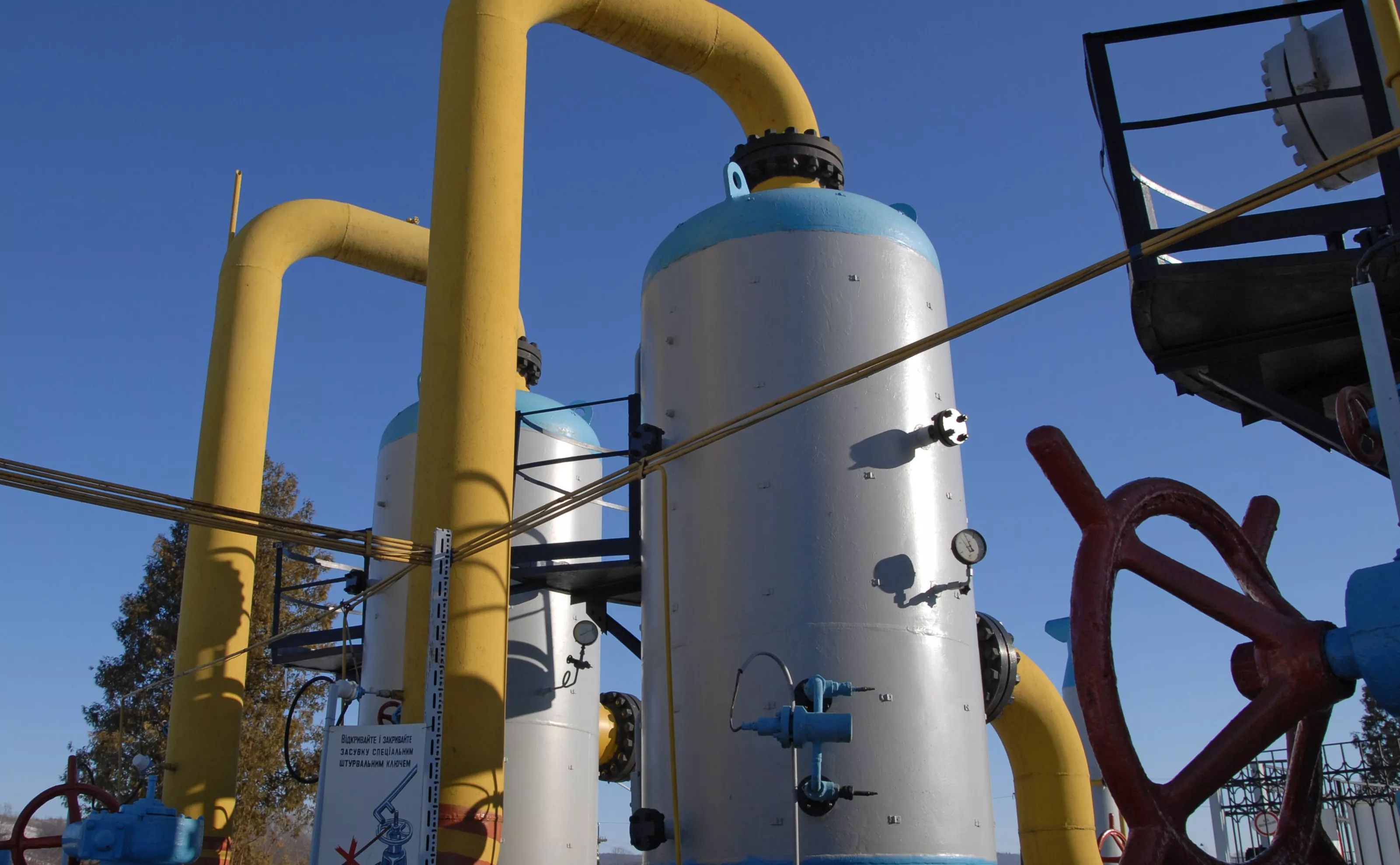 Виталий Грабар / ТАСС