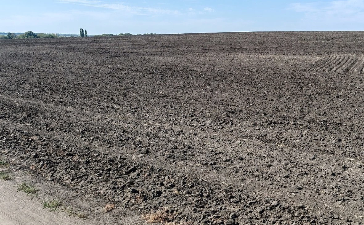 РБК Черноземье