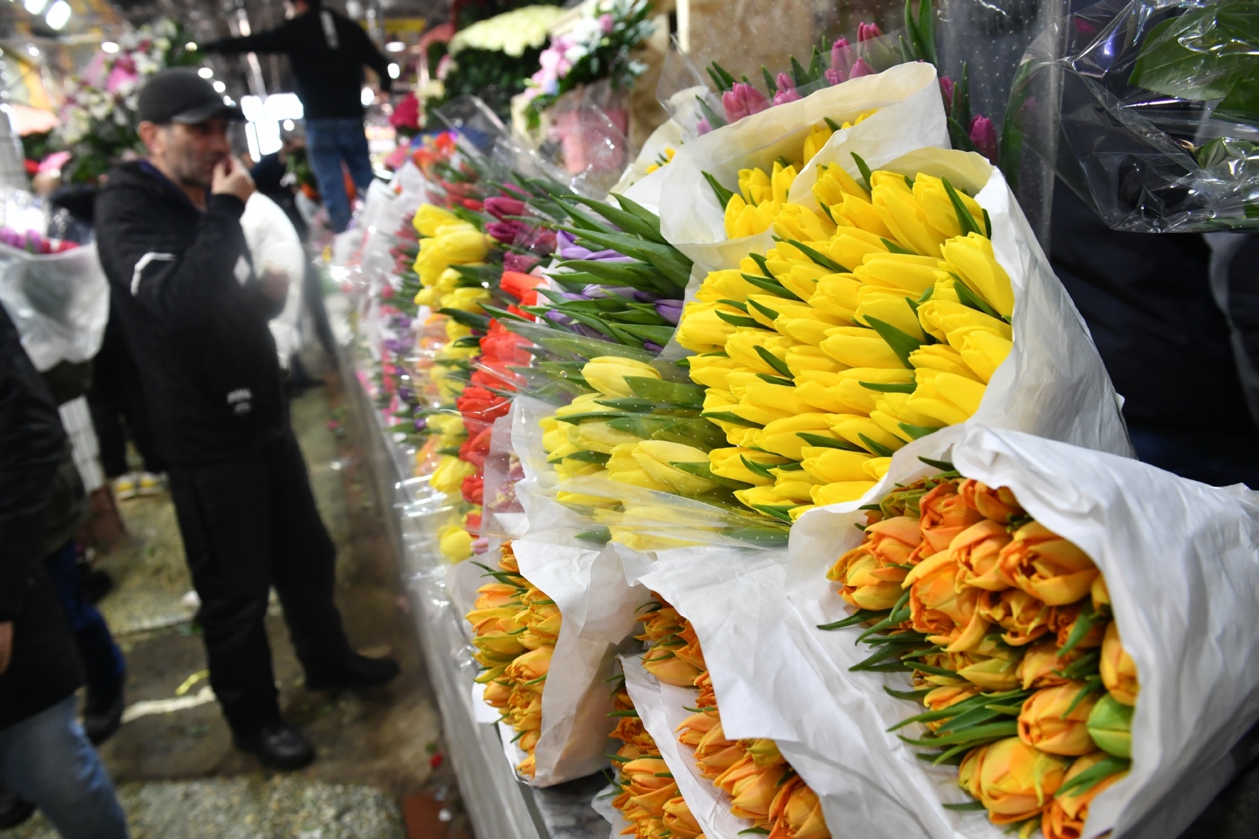 Фото: Комсомольская правда / PhotoXPress.ru