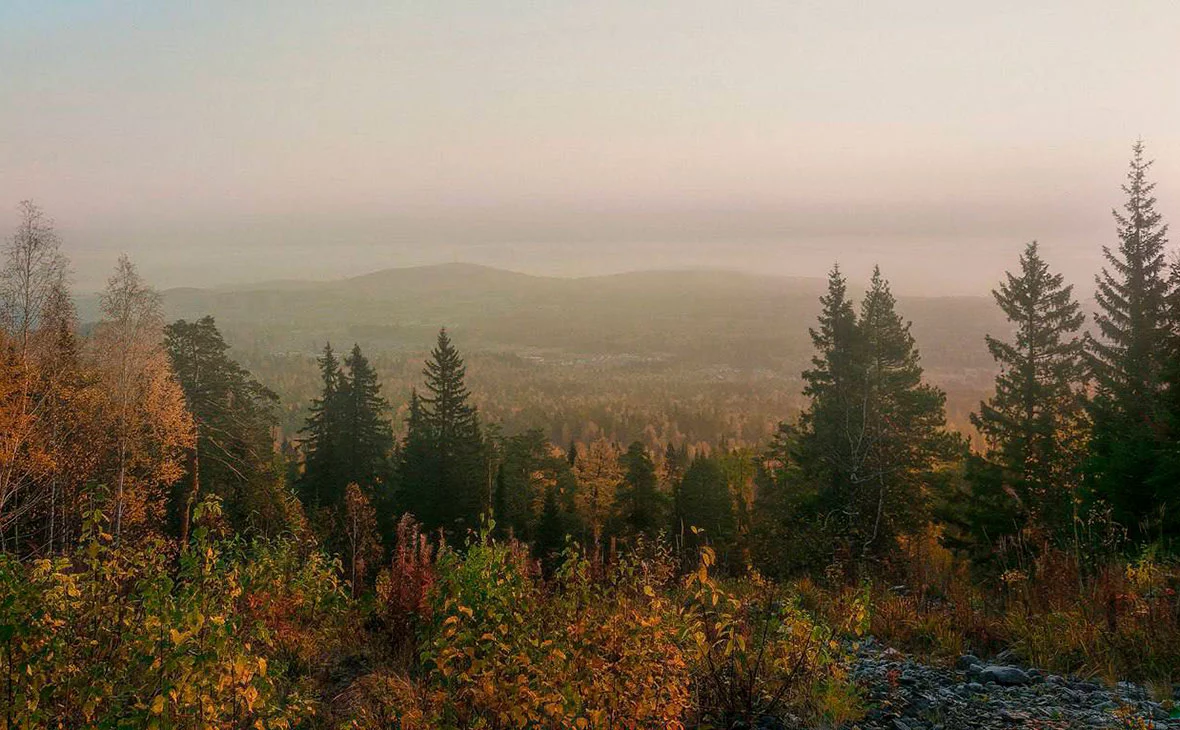 ГСУ СК России по Красноярскому краю и Республике Хакасия / Telegram