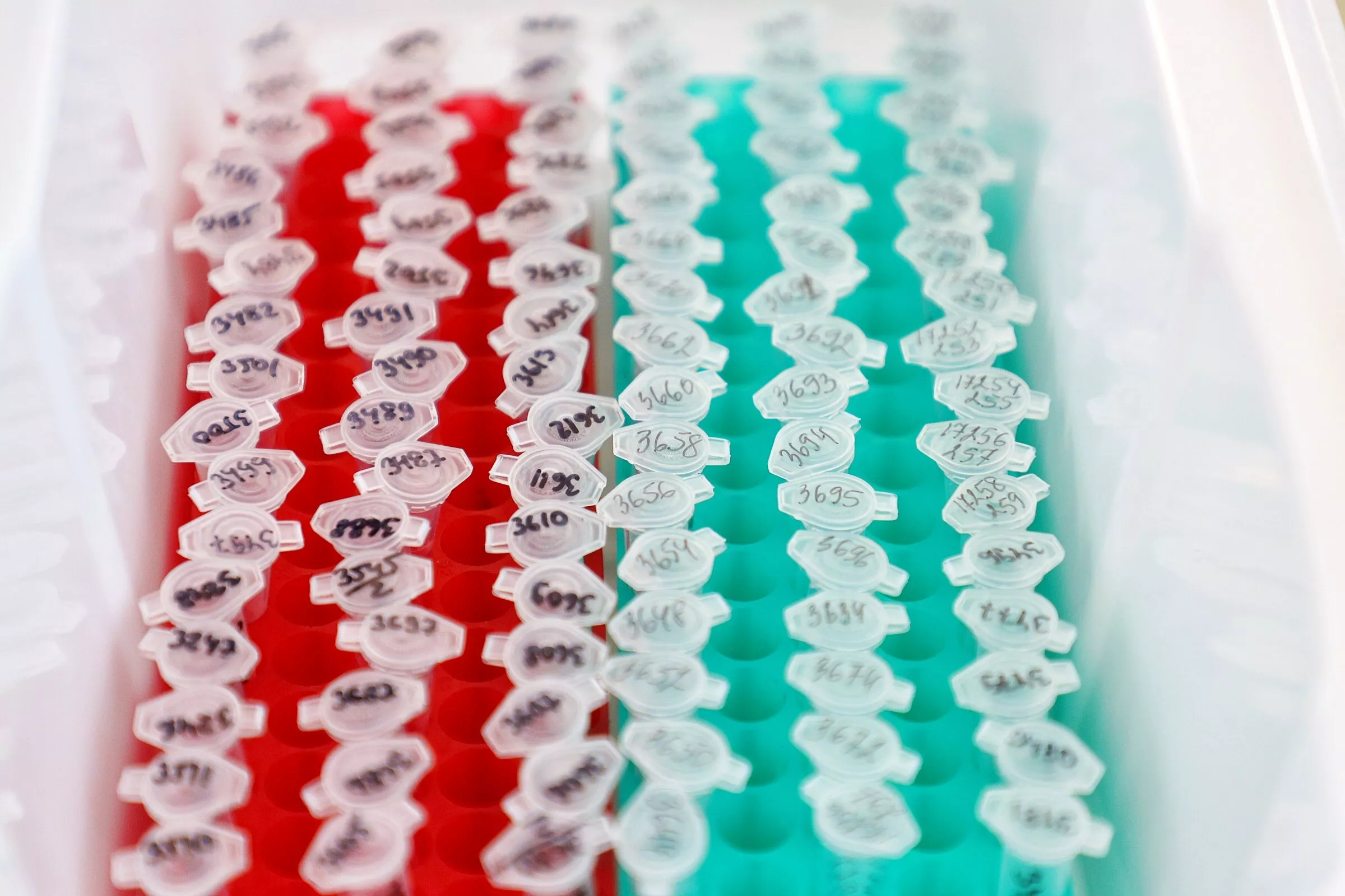 Александр Подгорчук