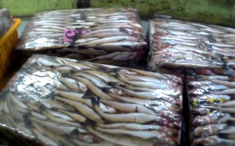 ПУ ФСБ России по восточному арктическому району