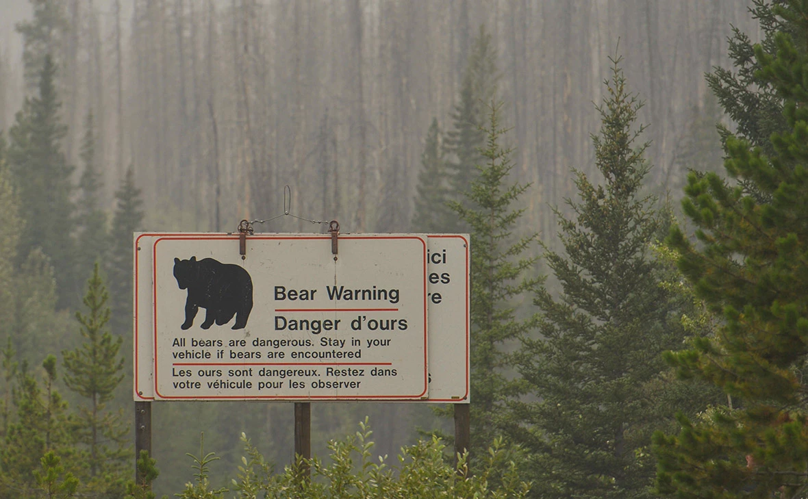 Artur Widak / zumapress.com / Global Look Press