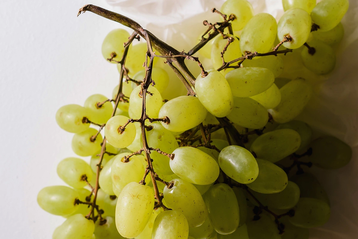 Белый виноград «султанина», он же «кишмиш»