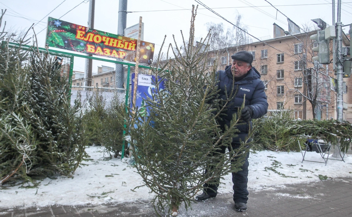 Пименов Роман/PhotoXPress.ru 