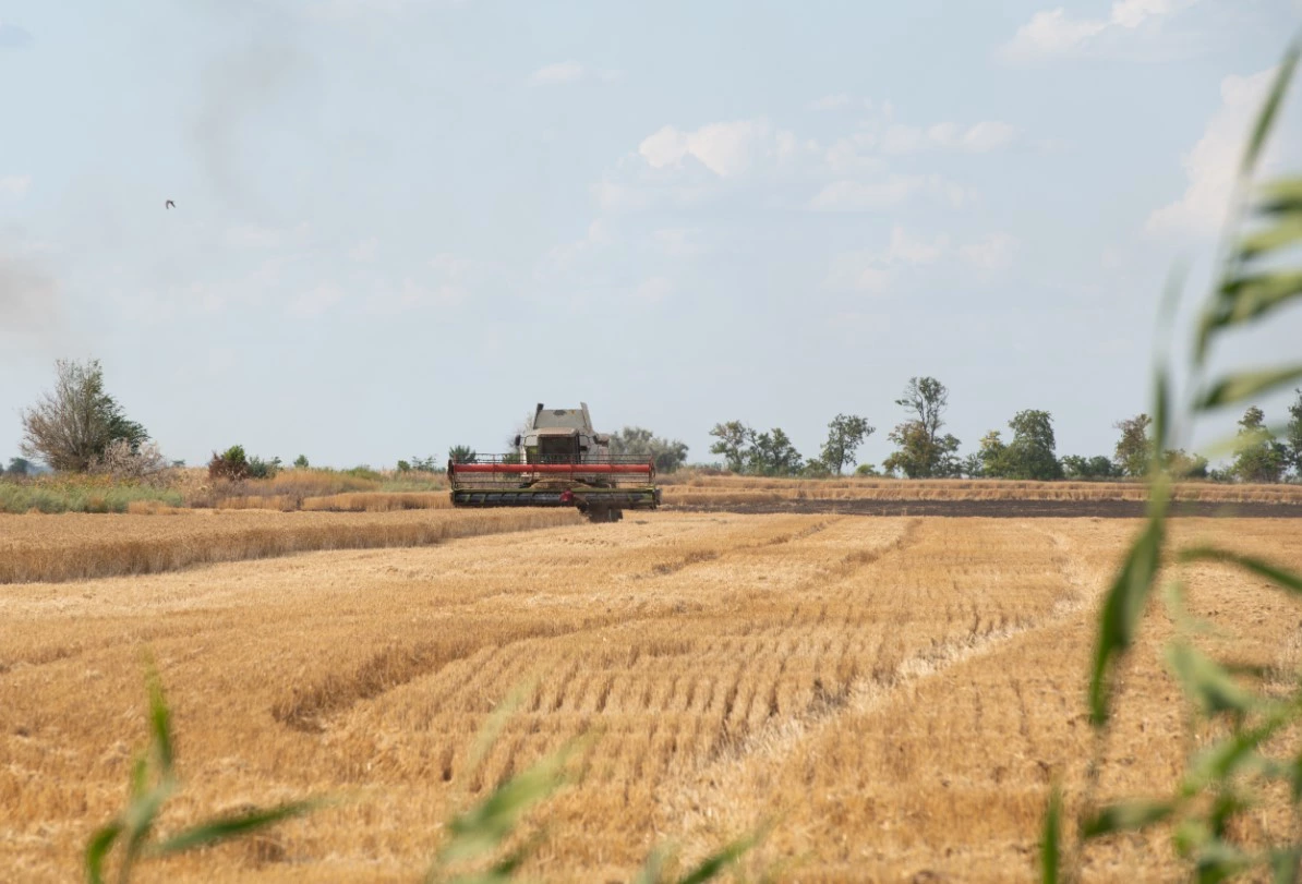 Таисия Воронцова / РИА URA.RU