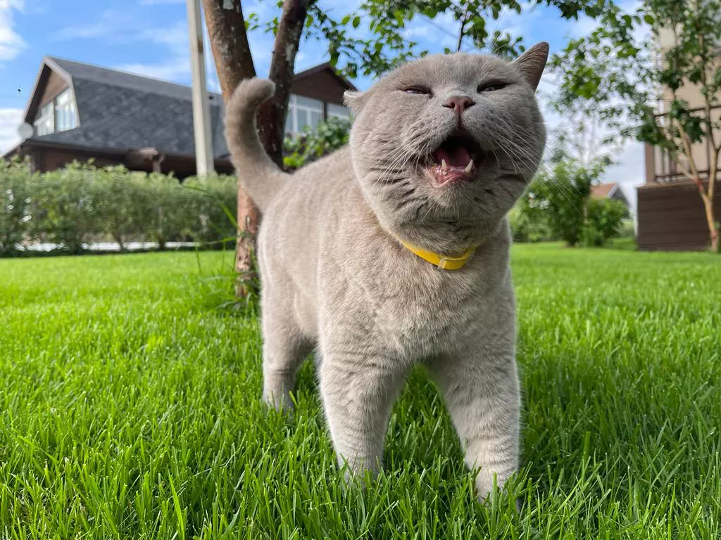 РБК Приморье