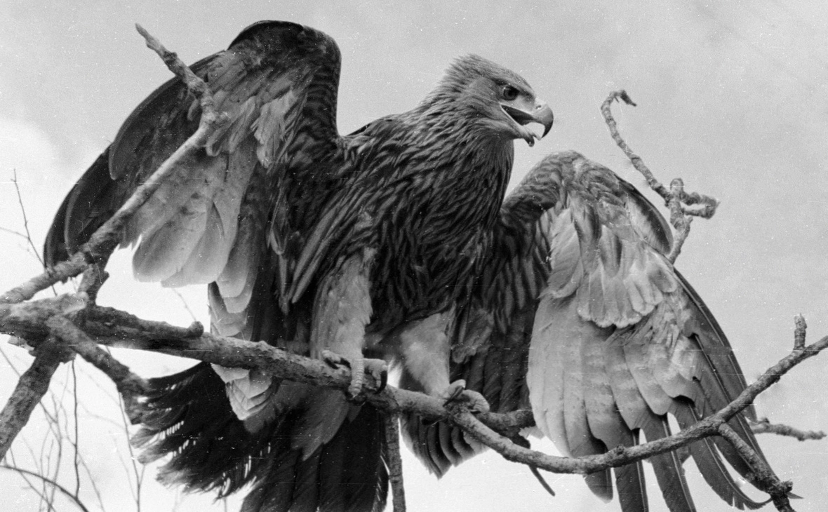 В. Бохонов / РИА Новости