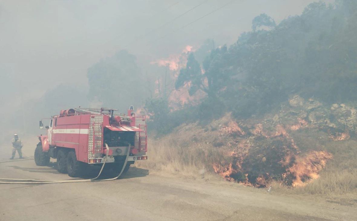 kravchenko_glava_nvrsk / Telegram