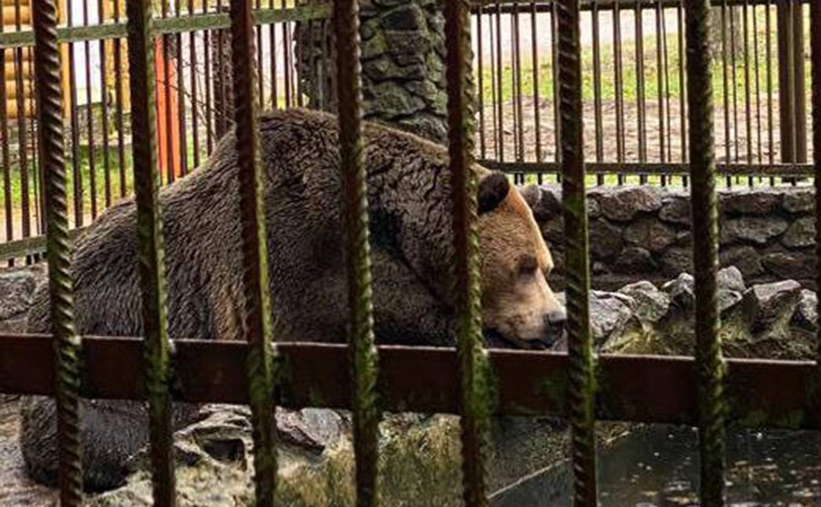 Объединённая пресс-служба судов Санкт-Петербурга 