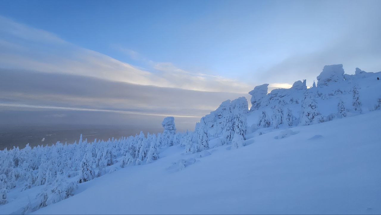 Фото: РБК Пермь