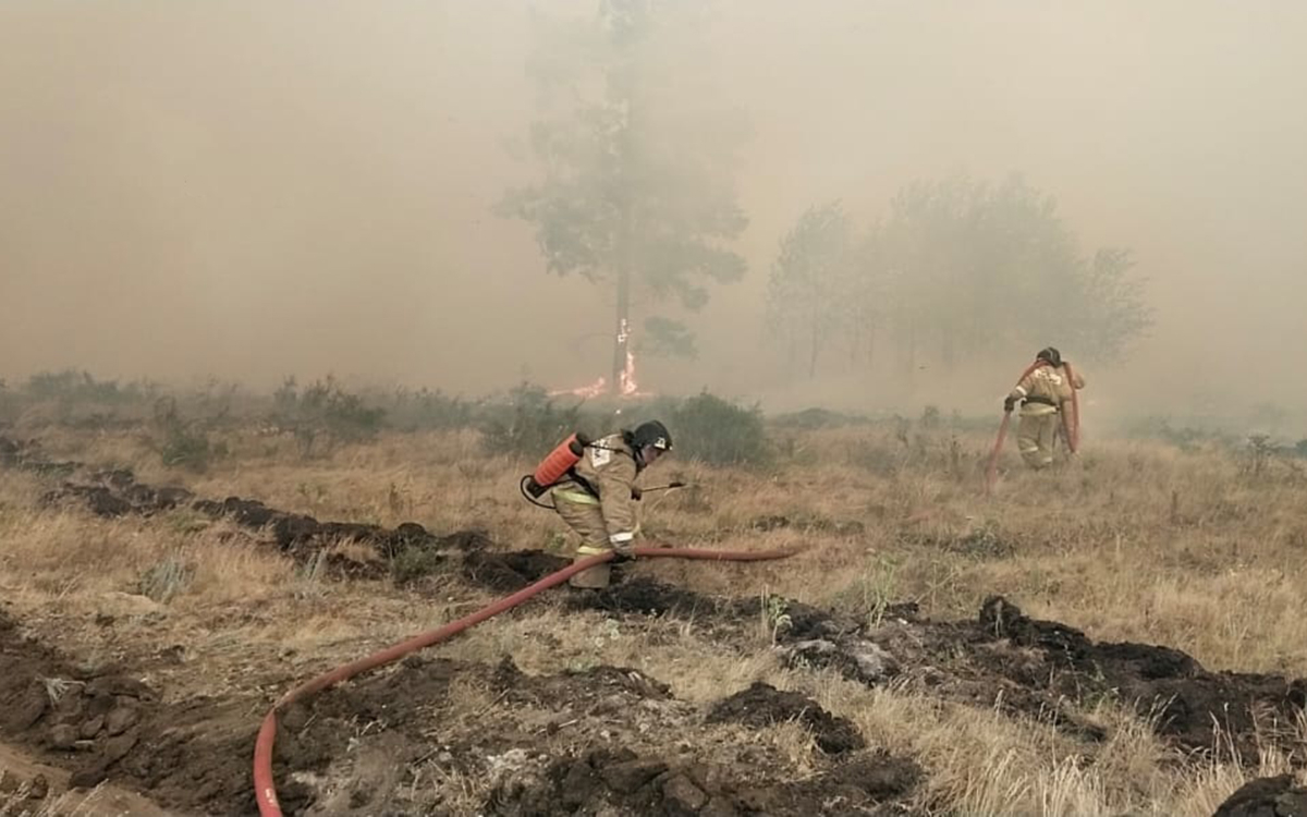 В результате лесных пожаров в Челябинской области погиб один человек
