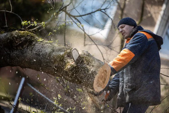 Александр Подгорчук