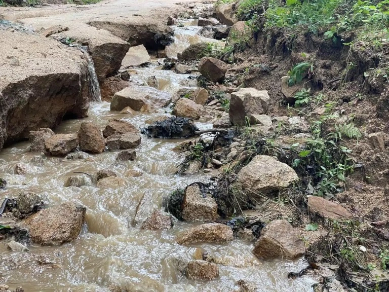 РБК Приморье