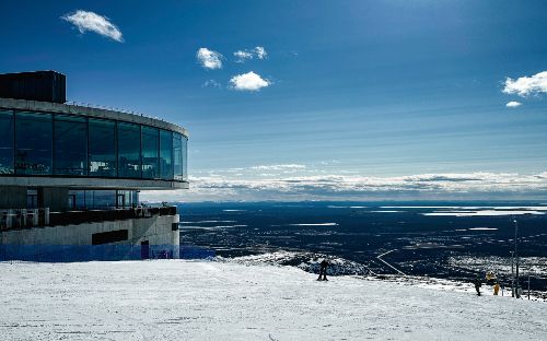 Фото: bigwood.ru