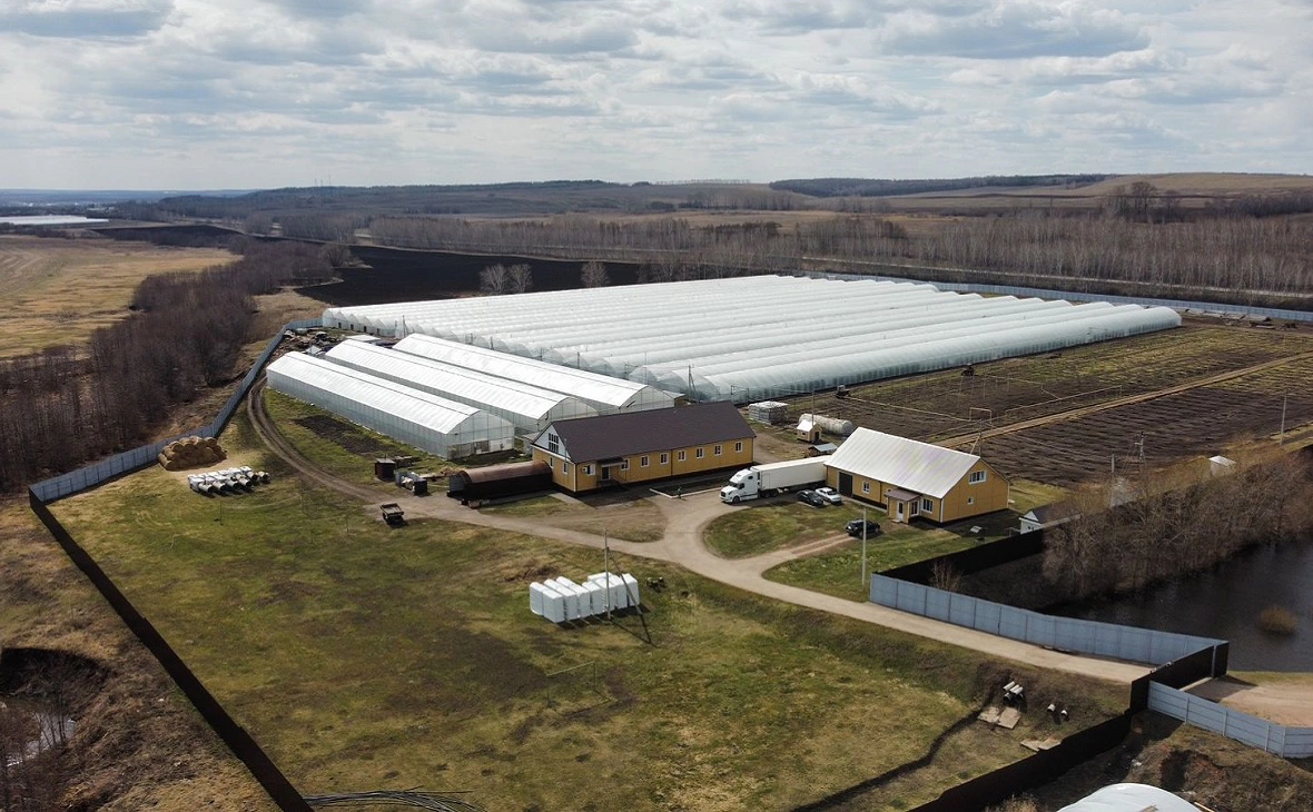 предоставлено КХ «Бэхетле»