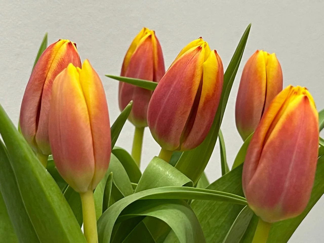 РБК Приморье