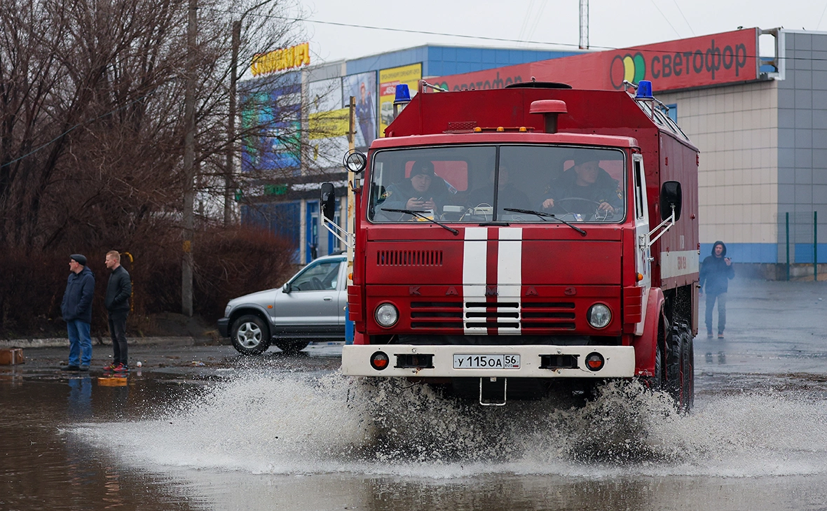 Егор Алеев / ТАСС