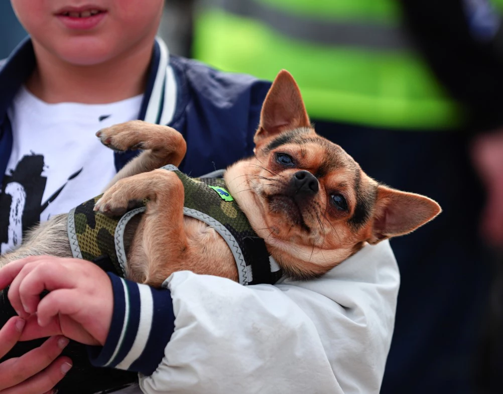 Размик Закарян / РИА URA.RU