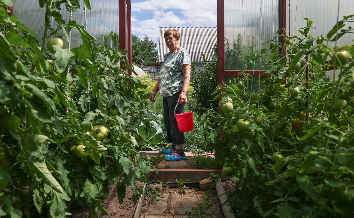 Александр Рюмин / ТАСС