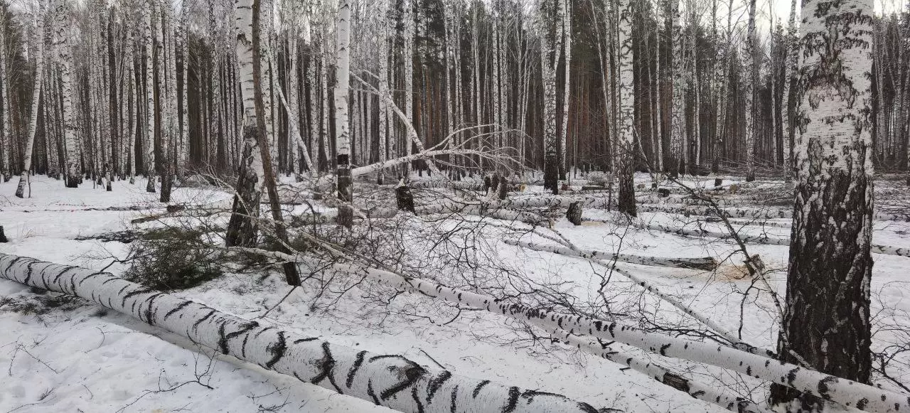 Дмитрий Антоненков, 66.RU